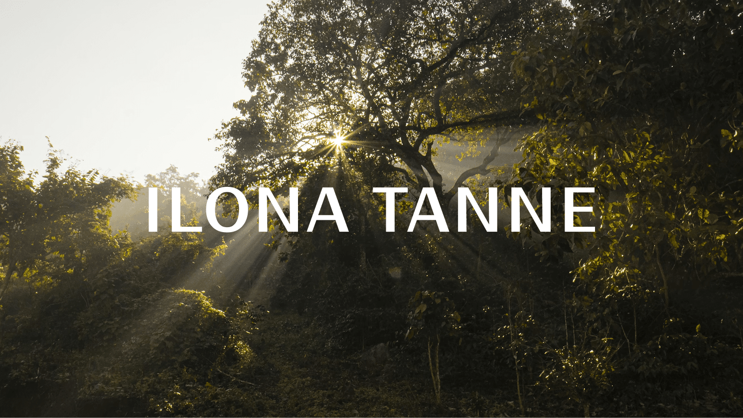 Ilona Tanne: Wellness Brand Identity That Guides Personal Transformation
