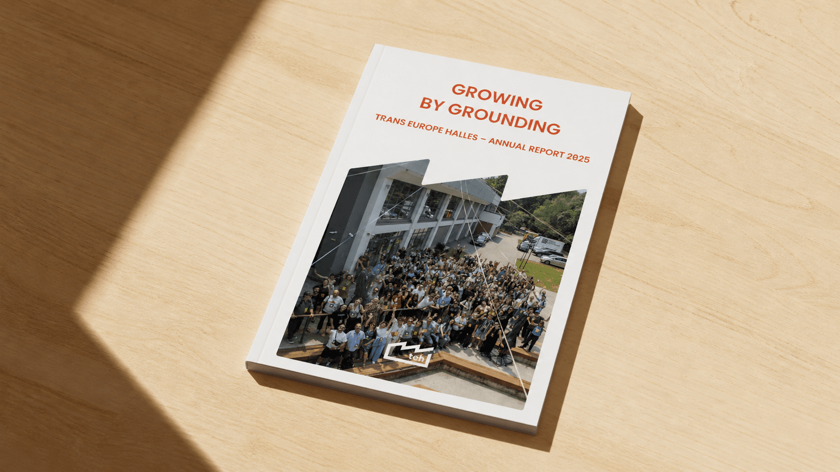 TEH Annual Report 2025 Design & Layout