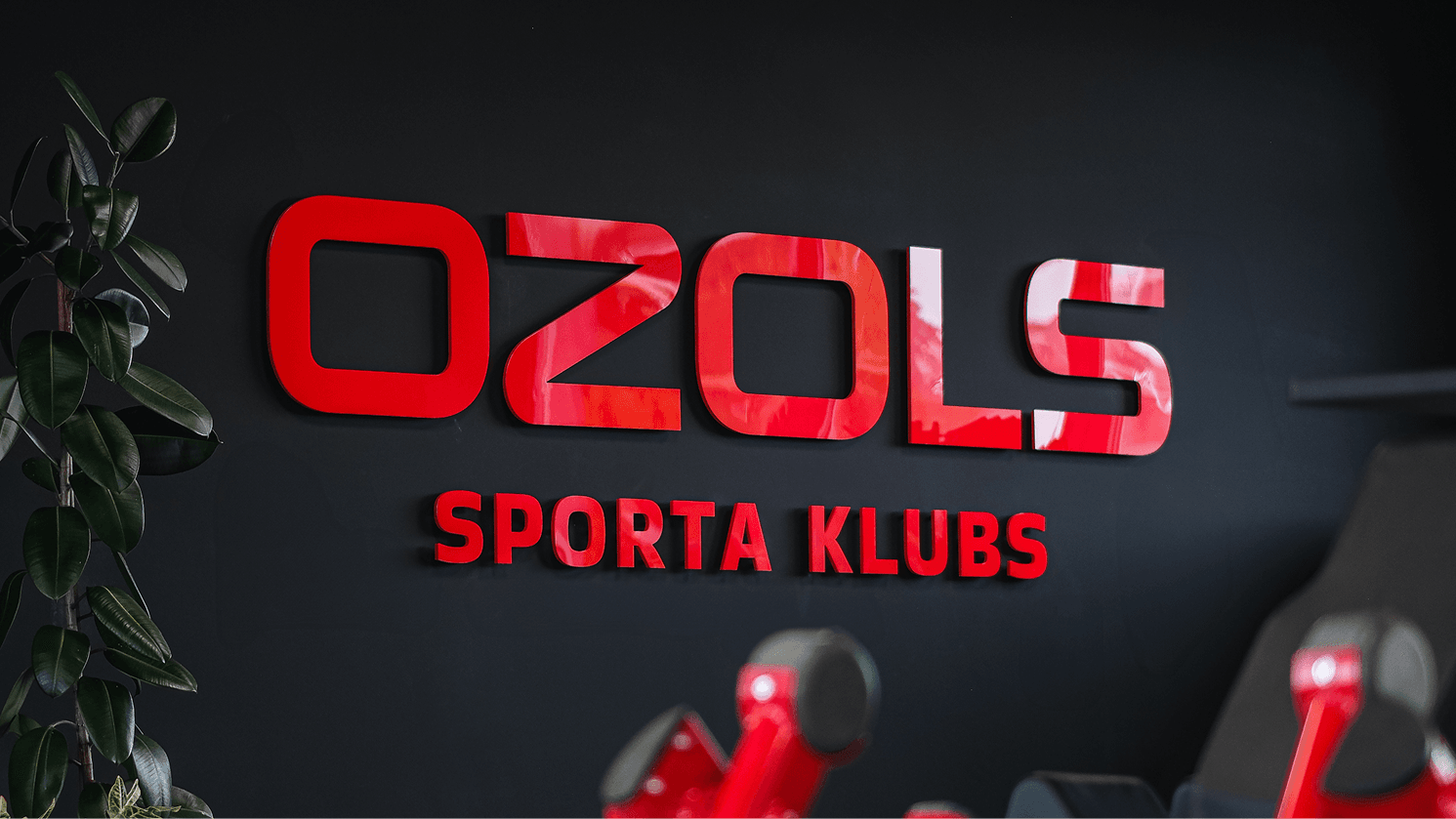 Ozols: Premium sporta kluba izveide, izmantojot stratēģisku dizainu